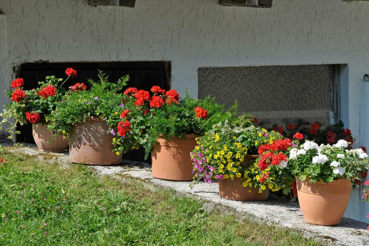 Kerschbaumerhof Schladming Exterior photo